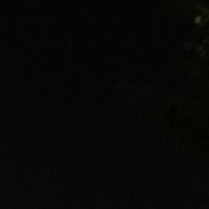 Meet your Posher, Trent